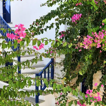 Διαμέρισμα Brachera